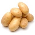 Potato seeds for sale